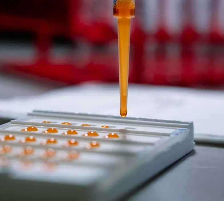 Industry Leader picture 3